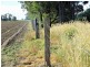 151 ACRES Brigalow District, Chinchilla QLD 4413