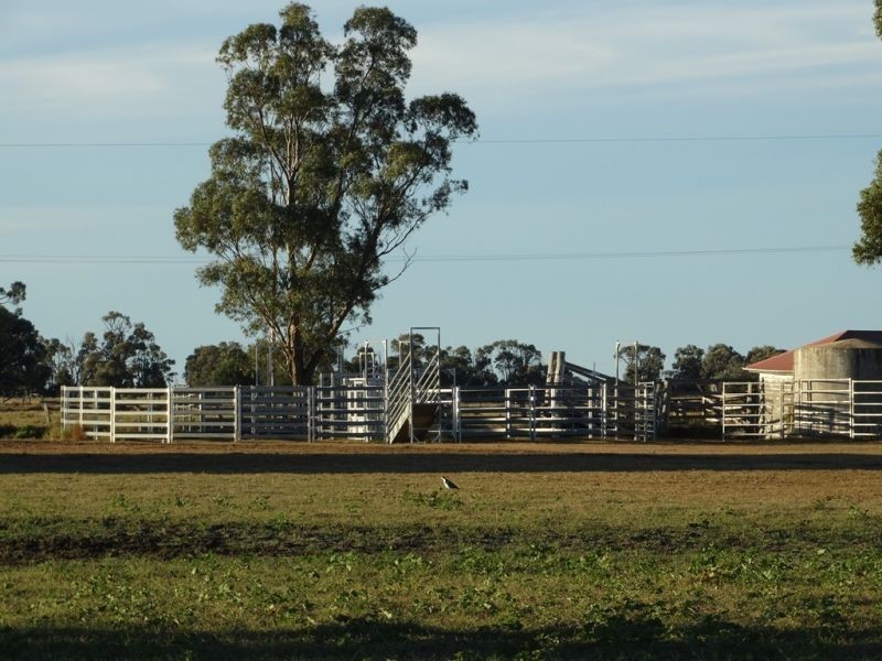 151 ACRES Brigalow District, Chinchilla QLD 4413