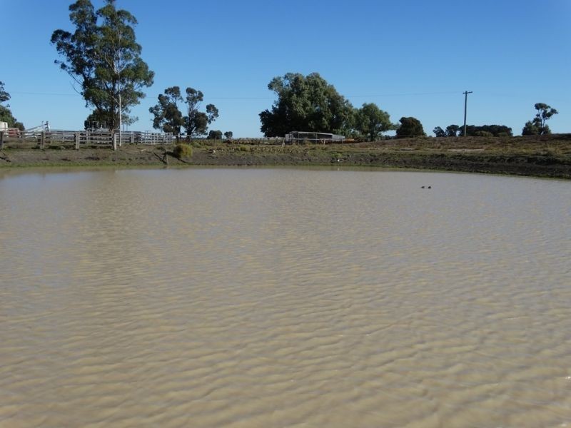 151 ACRES Brigalow District, Chinchilla QLD 4413