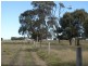 151 ACRES Brigalow District, Chinchilla QLD 4413