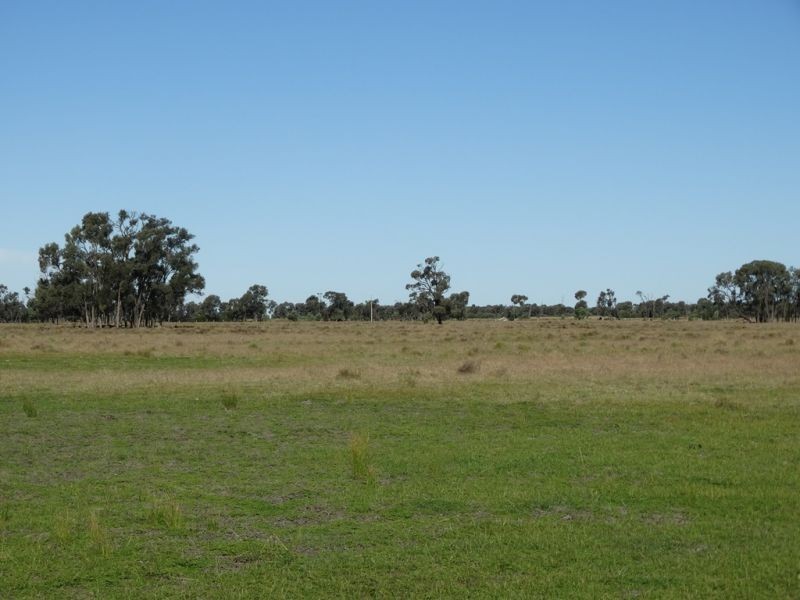 151 ACRES Brigalow District, Chinchilla QLD 4413