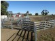 151 ACRES Brigalow District, Chinchilla QLD 4413
