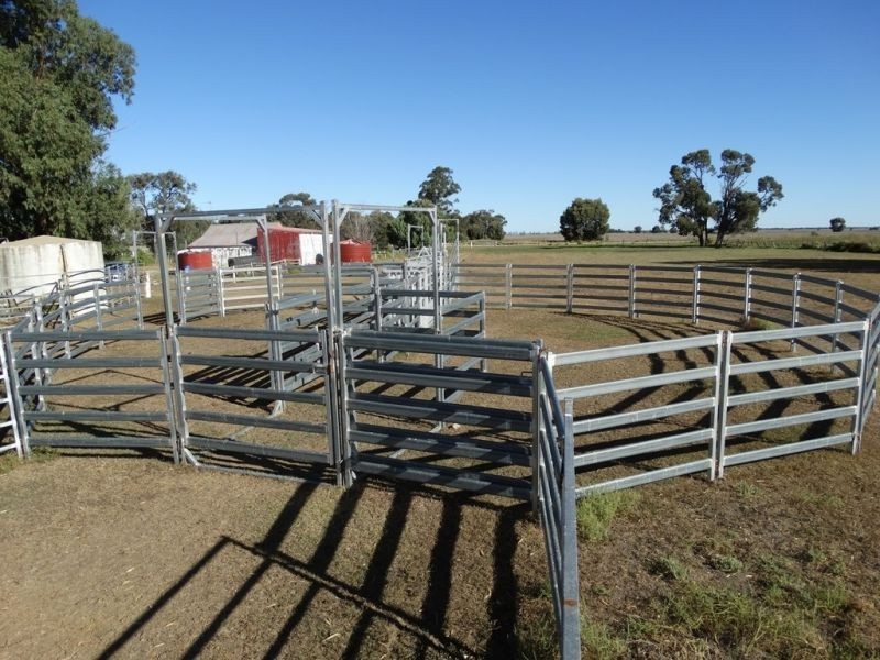 151 ACRES Brigalow District, Chinchilla QLD 4413
