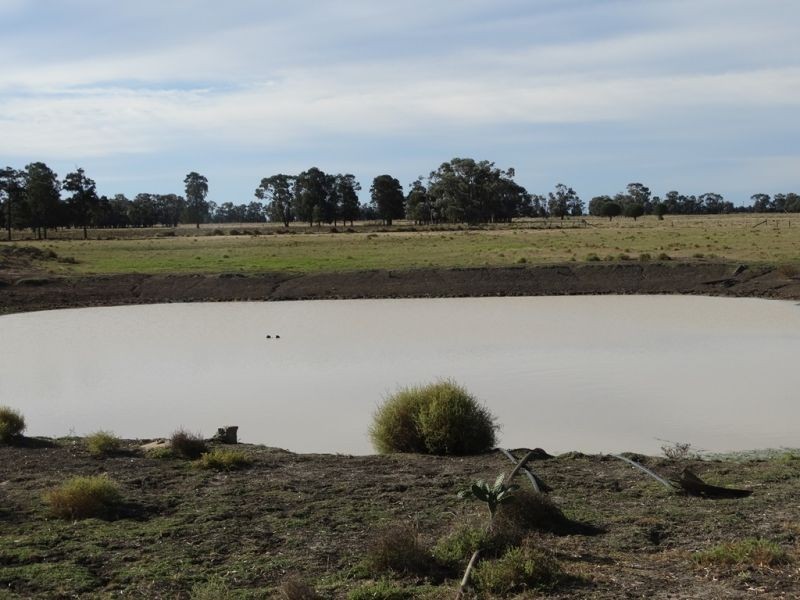 151 ACRES Brigalow District, Chinchilla QLD 4413