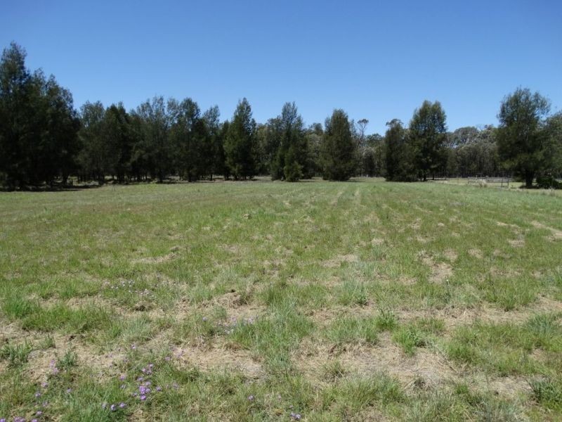 8000m2 – Lot 10 Cleverdon Court, Chinchilla QLD 4413