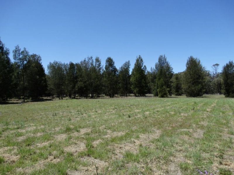 8000m2 – Lot 10 Cleverdon Court, Chinchilla QLD 4413
