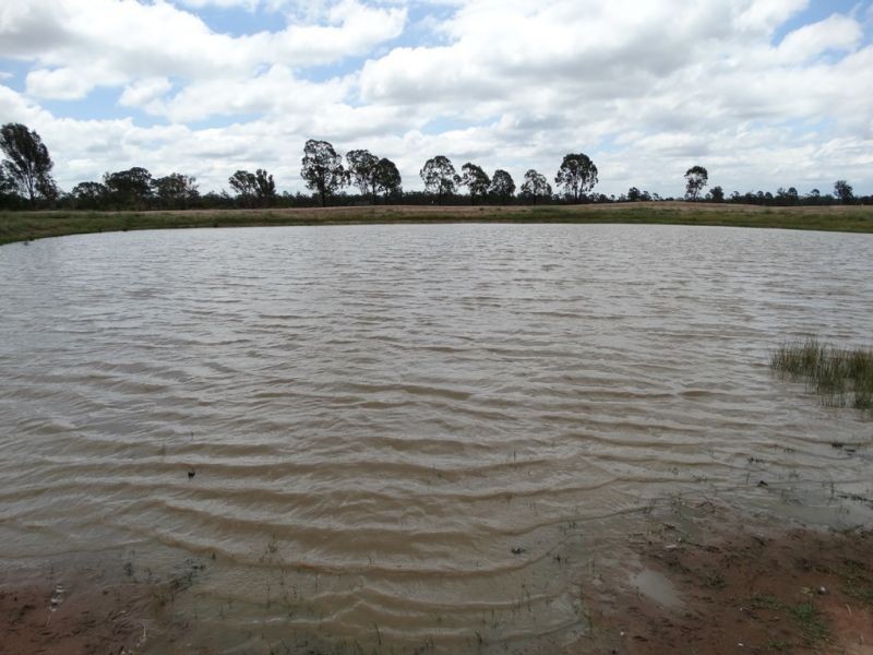 290 ACRES – Crystal Creek Road, Kogan QLD 4406