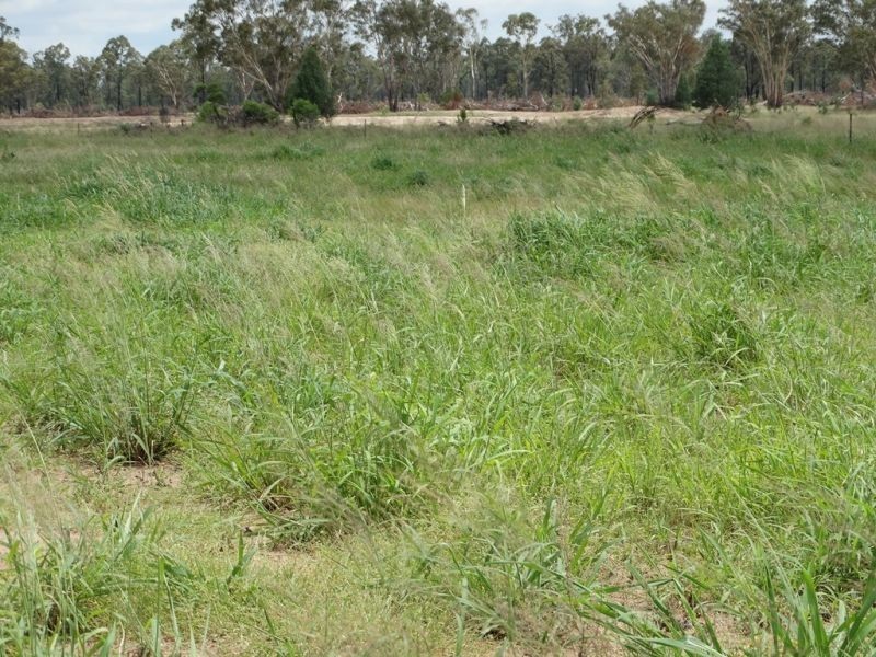 290 ACRES – Crystal Creek Road, Kogan QLD 4406