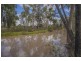 36 acres of natural beauty on Auburn Road, Chinchilla QLD 4413