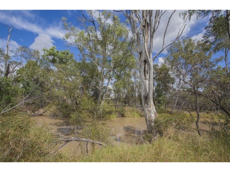 36 acres of natural beauty on Auburn Road, Chinchilla QLD 4413