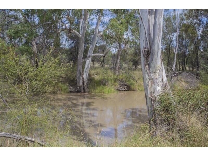36 acres of natural beauty on Auburn Road, Chinchilla QLD 4413