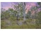 36 acres of natural beauty on Auburn Road, Chinchilla QLD 4413