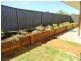 71 Frame Street, Chinchilla QLD 4413