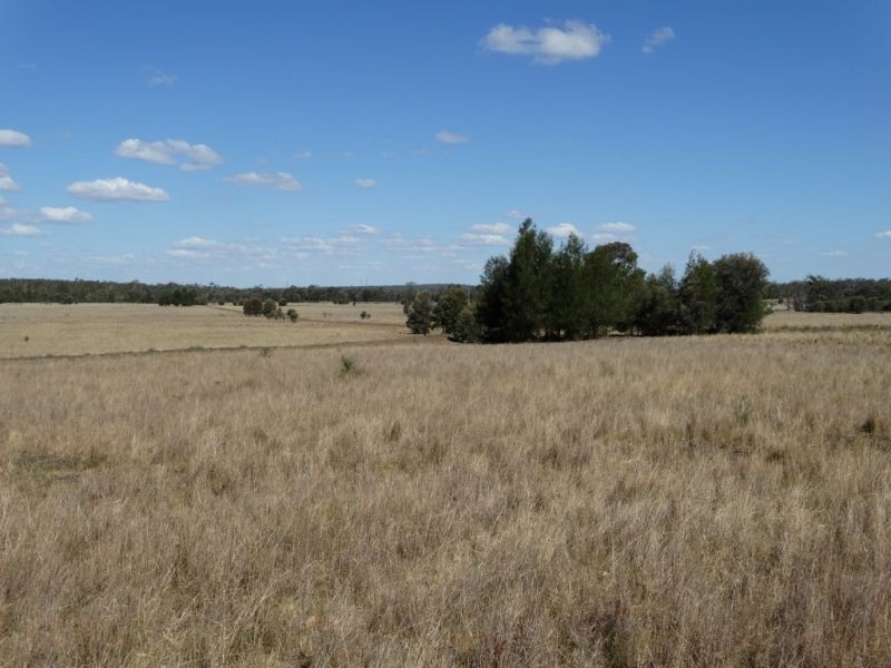 312 Tumba Downs Rd, Miles QLD 4415