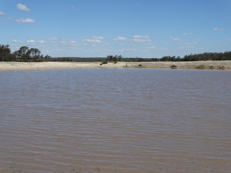 312 Tumba Downs Rd, Miles QLD 4415