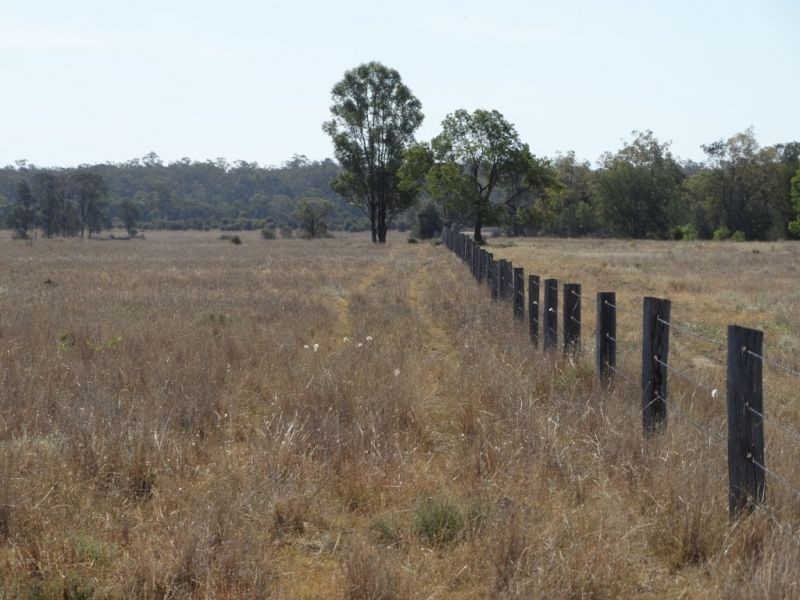 312 Tumba Downs Rd, Miles QLD 4415