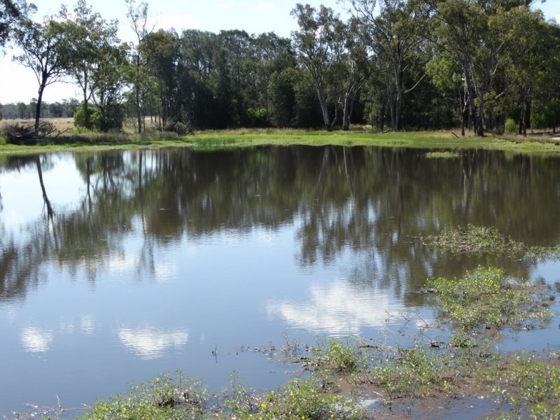 312 Tumba Downs Rd, Miles QLD 4415