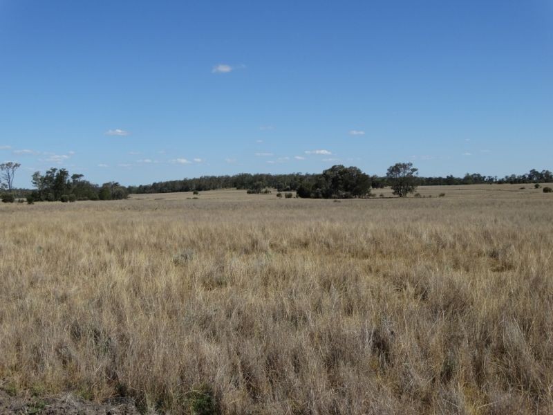 312 Tumba Downs Rd, Miles QLD 4415