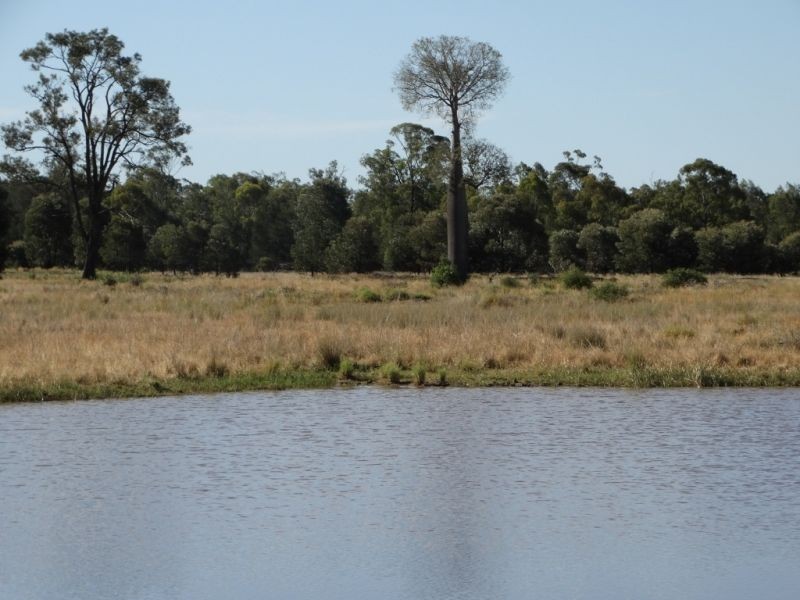 312 Tumba Downs Rd, Miles QLD 4415