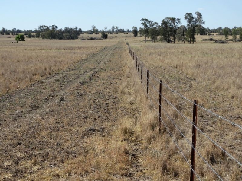 312 Tumba Downs Rd, Miles QLD 4415