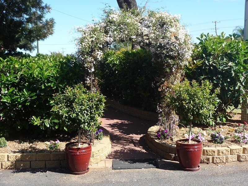 96 Glasson St, Chinchilla QLD 4413