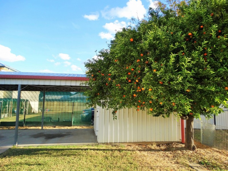 9 First Avenue, Chinchilla QLD 4413