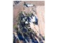86 Auburn Road, Chinchilla QLD 4413