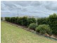 11 Osborne Street, Chinchilla QLD 4413