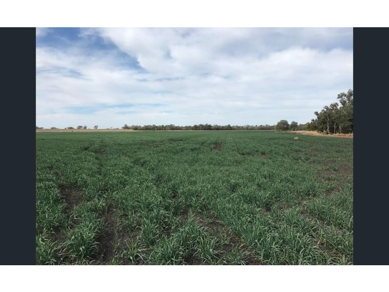 0 Archers Crossing Road, Chinchilla QLD 4413