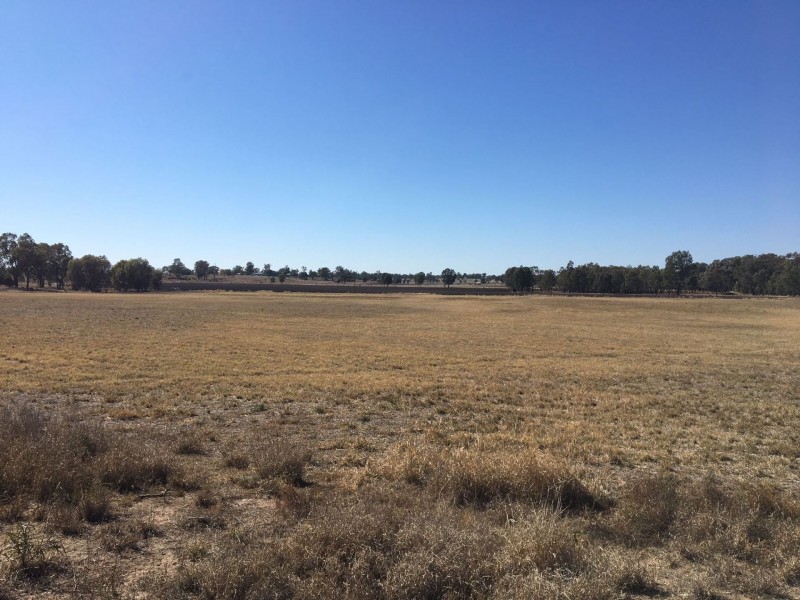 0 Archers Crossing Road, Chinchilla QLD 4413