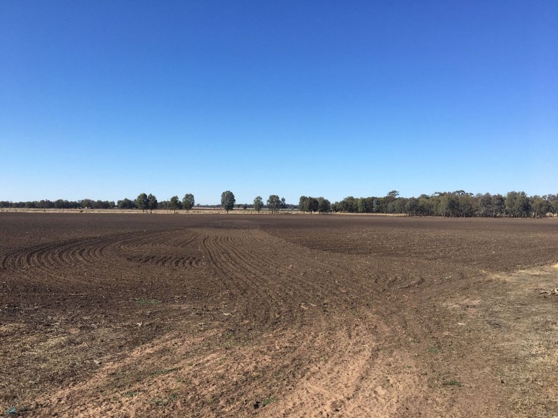 0 Archers Crossing Road, Chinchilla QLD 4413