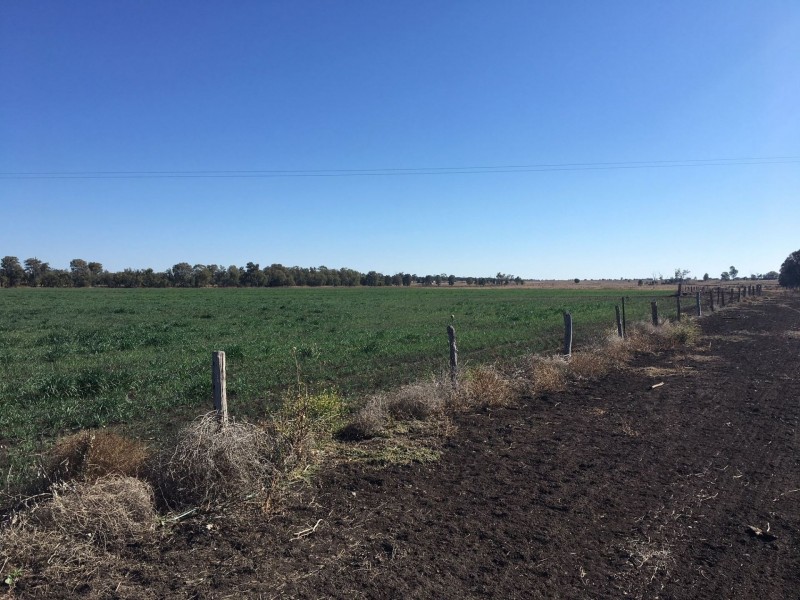 0 Archers Crossing Road, Chinchilla QLD 4413