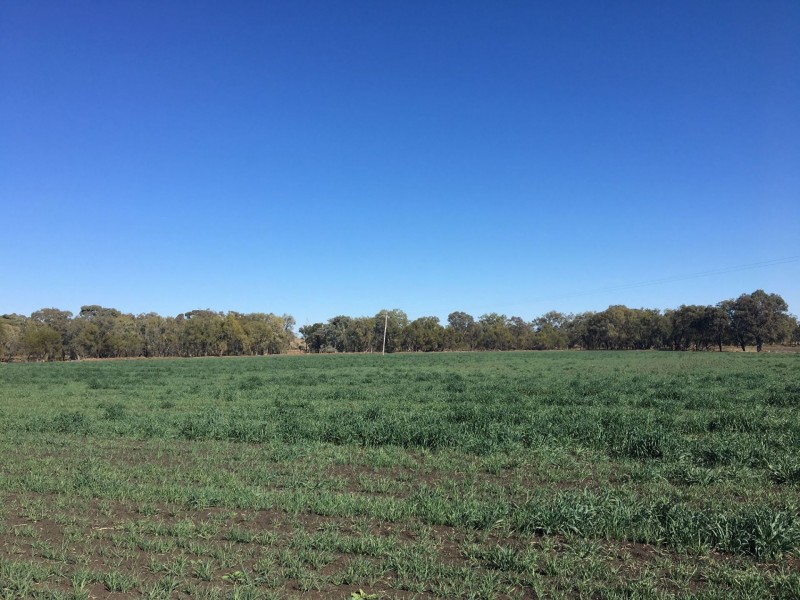 0 Archers Crossing Road, Chinchilla QLD 4413