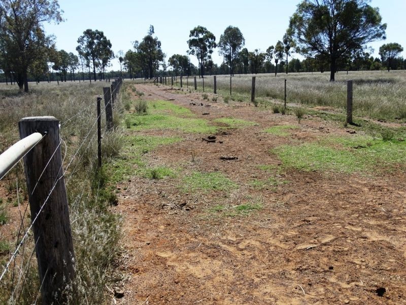 410 Acres on Goonalah North Road, Miles QLD 4415