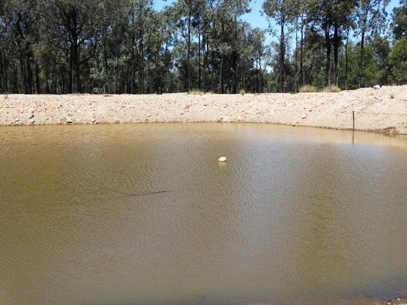 410 Acres on Goonalah North Road, Miles QLD 4415