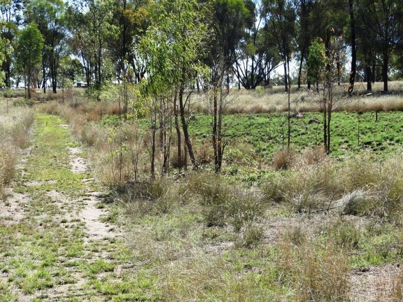 410 Acres on Goonalah North Road, Miles QLD 4415