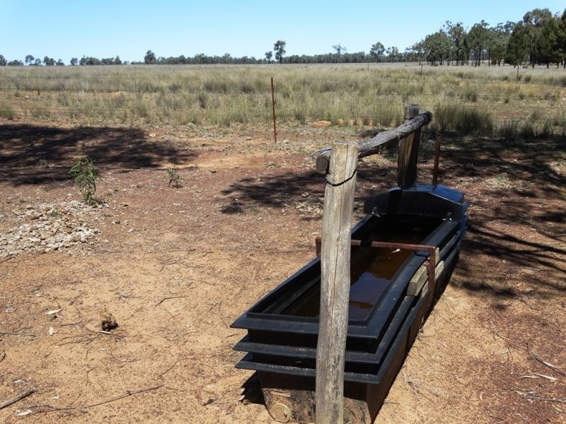 410 Acres on Goonalah North Road, Miles QLD 4415