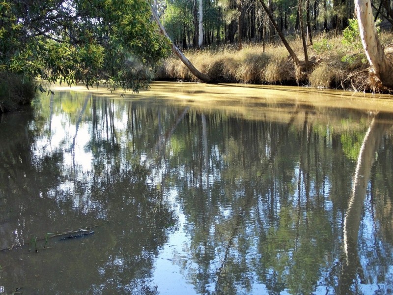 453 Engine Road, Chinchilla QLD 4413