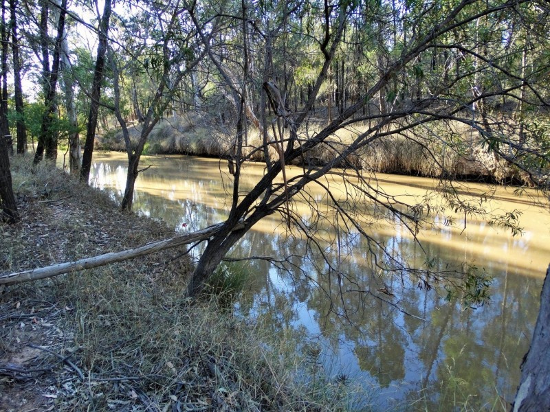 453 Engine Road, Chinchilla QLD 4413