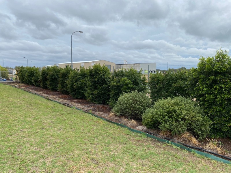 11 Osborne St, Chinchilla QLD 4413