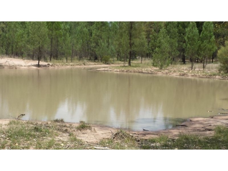 199 Billabong Lane, Wieambilla QLD 4413