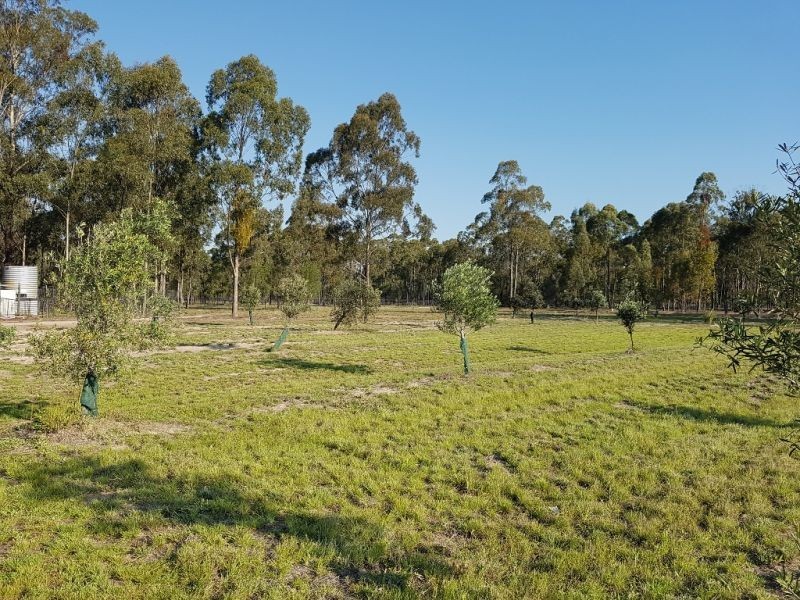 256.. Billabong Lane, Wieambilla QLD 4413