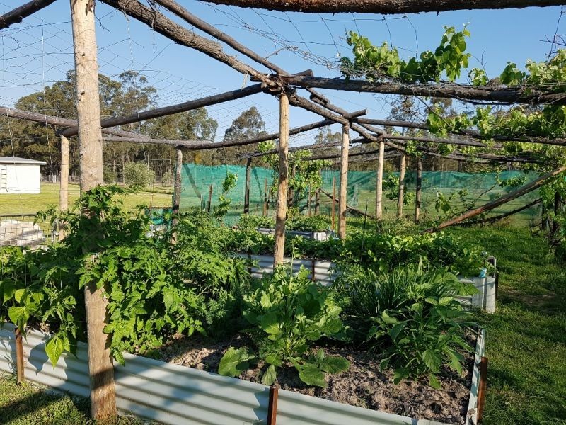 256.. Billabong Lane, Wieambilla QLD 4413