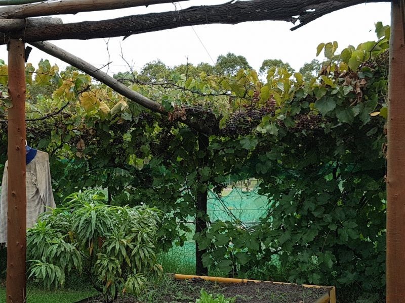 256.. Billabong Lane, Wieambilla QLD 4413