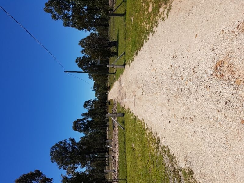 256.. Billabong Lane, Wieambilla QLD 4413