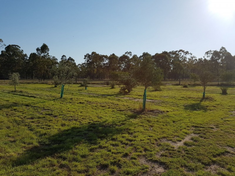 256 Billabong Lane, Wieambilla QLD 4413