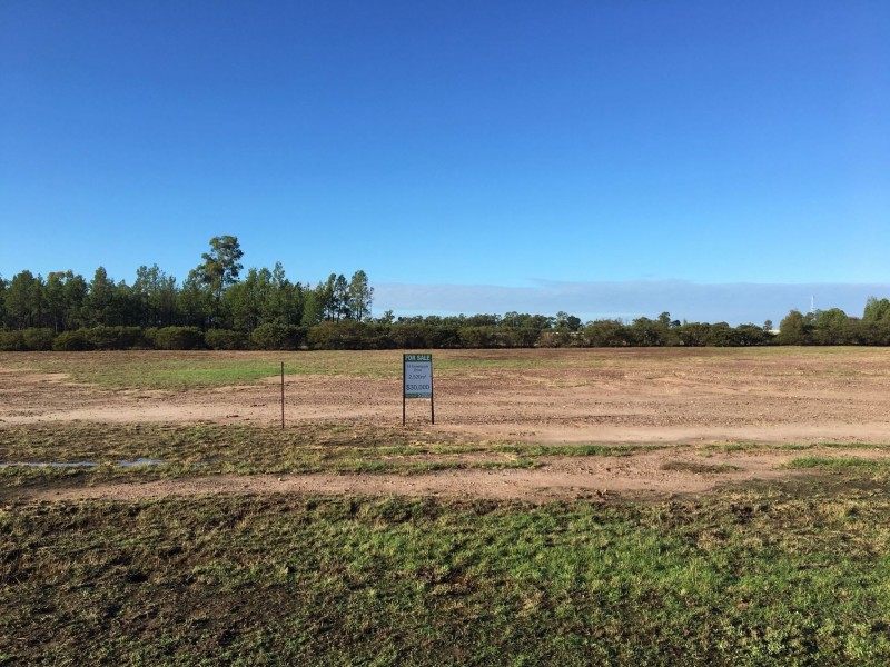 14 Sweetapple Drive, Miles QLD 4415