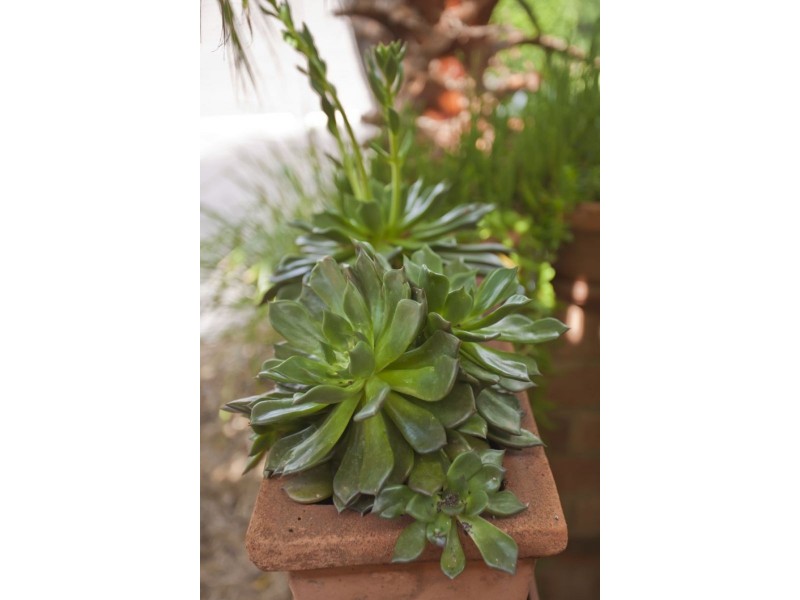 19 Mann Street, Chinchilla QLD 4413