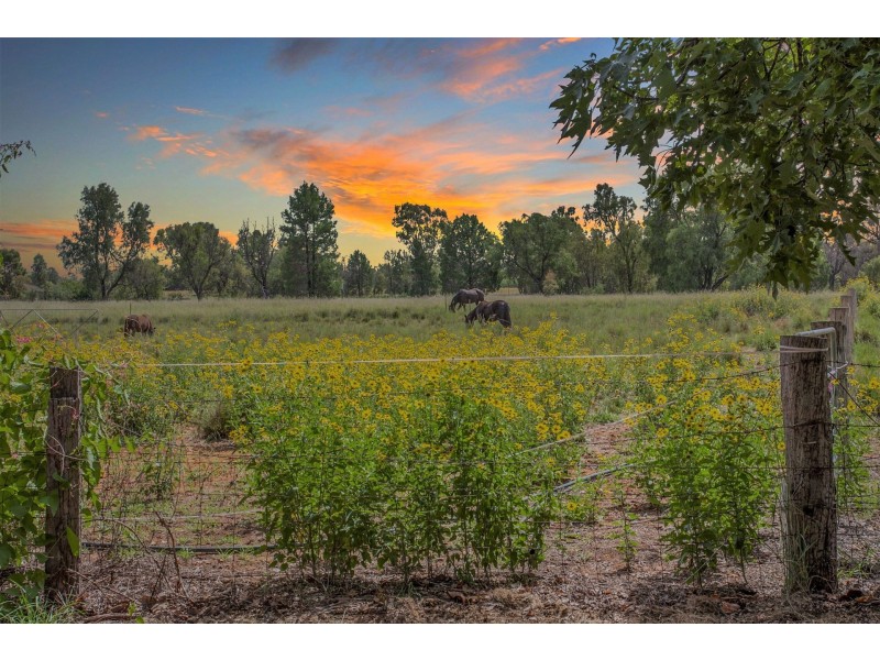 187 Chinchilla Wondai Road, Chinchilla QLD 4413