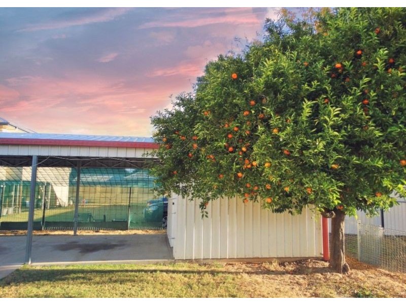 9 First Avenue, Chinchilla QLD 4413